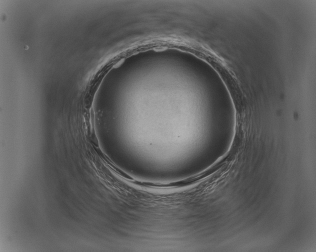 X0000065971496200603061136