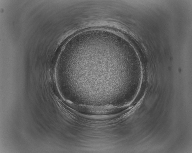 X0000065971497200603061136