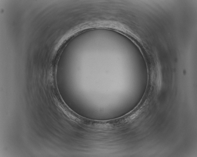 X0000065971498200603061136