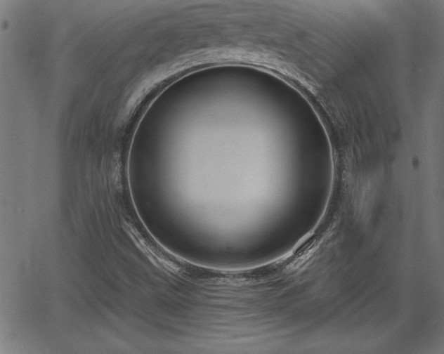 X0000065971499200603061136