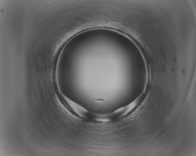 X0000065971500200603061136