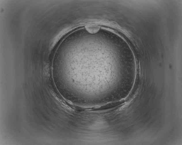 X0000065971501200603061136