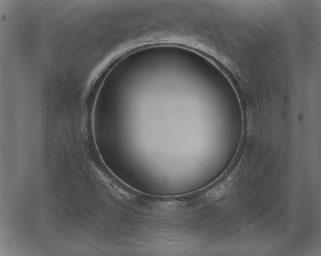 X0000065971502200603061136