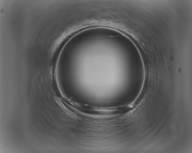 X0000065971503200603061136