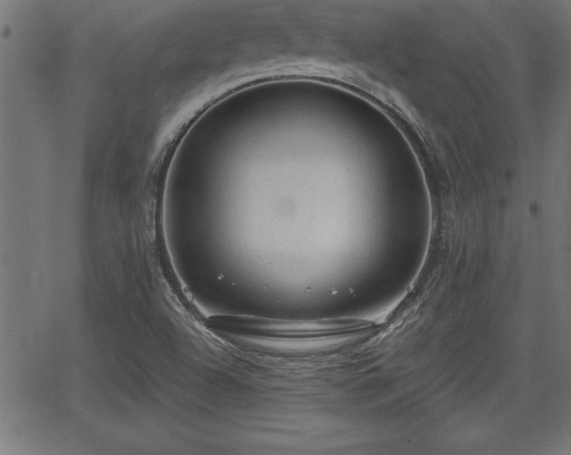 X0000065971504200603061136