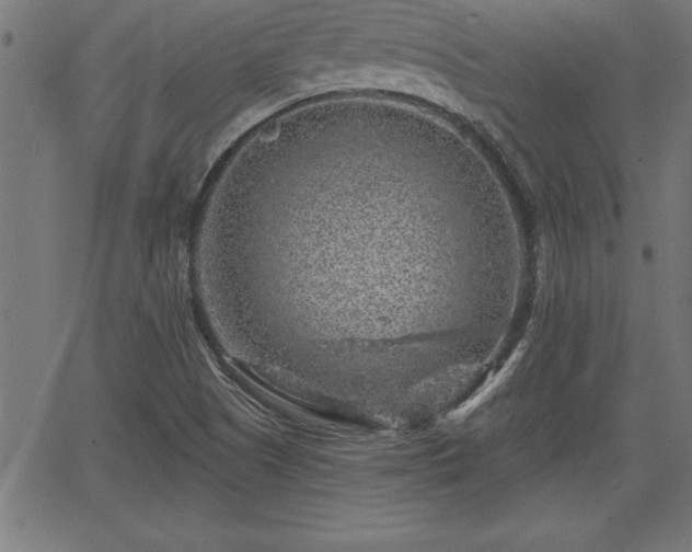 X0000065971505200603061136