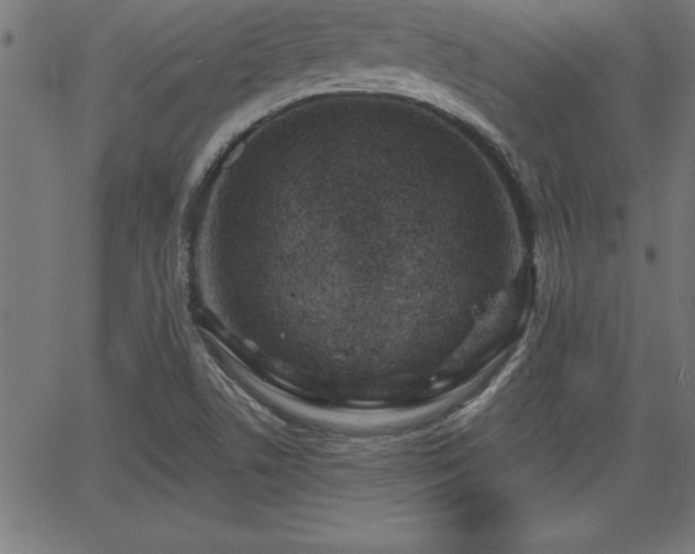 X0000065971506200603061136