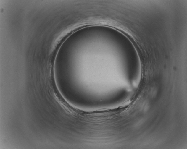 X0000065971507200603061136