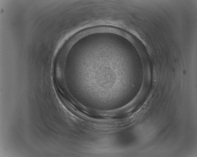 X0000065971508200603061136