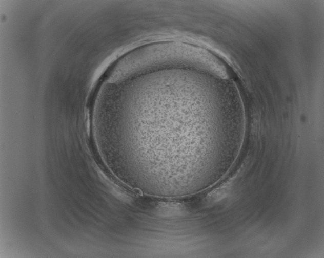 X0000065971509200603061136