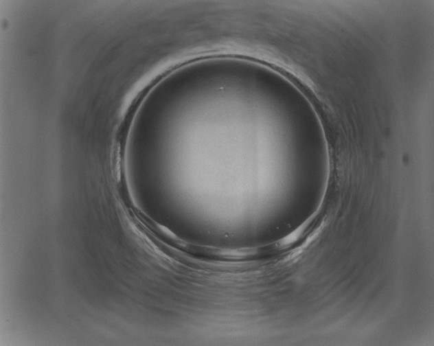 X0000065971510200603061136