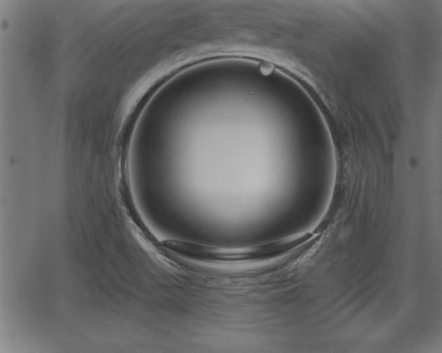 X0000065971511200603061136