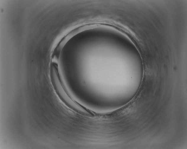 X0000065971512200603061136