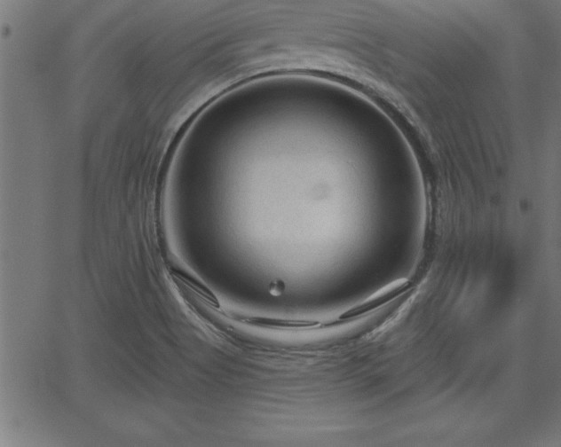 X0000065971513200603061136