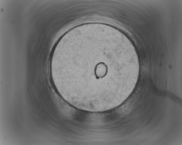 X0000065971514200603061136