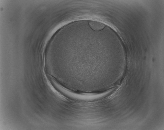 X0000065971515200603061136