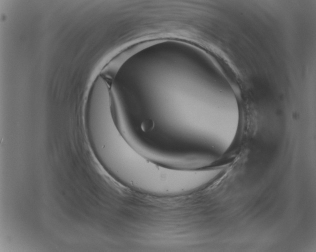 X0000065971516200603061136