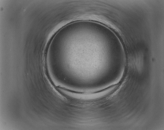 X0000065971517200603061136