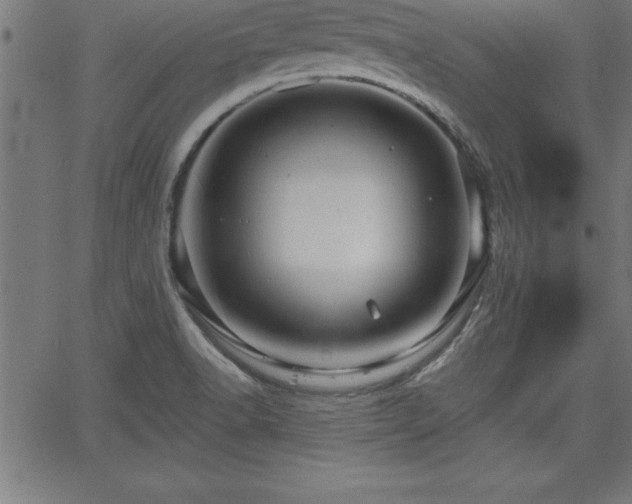 X0000065971518200603061136