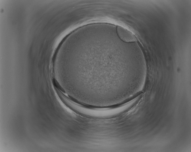 X0000065971519200603061136