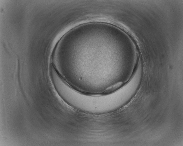 X0000065971520200603061136