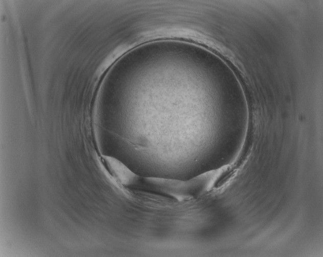 X0000065971521200603061136