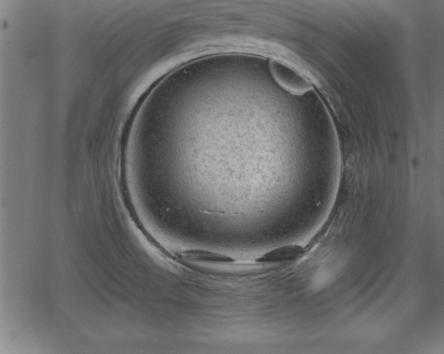 X0000065971523200603061137