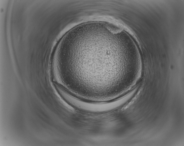 X0000065971525200603061137