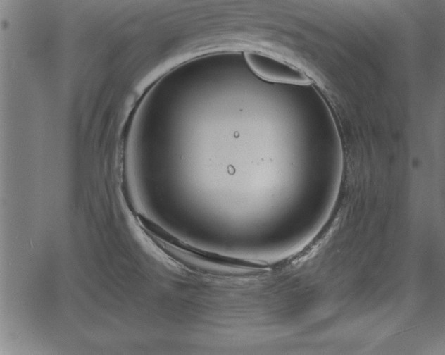 X0000065971526200603061137