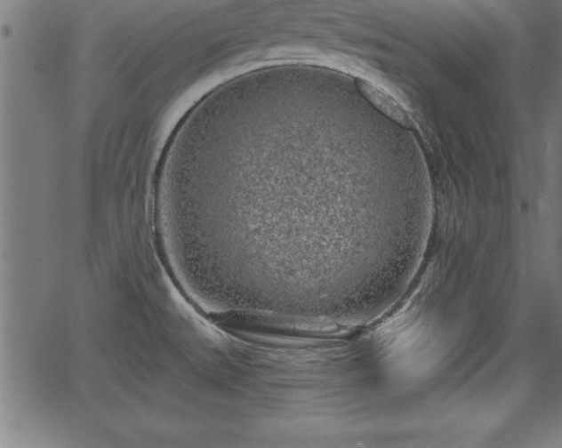 X0000065971527200603061137