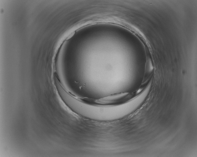 X0000065971528200603061137