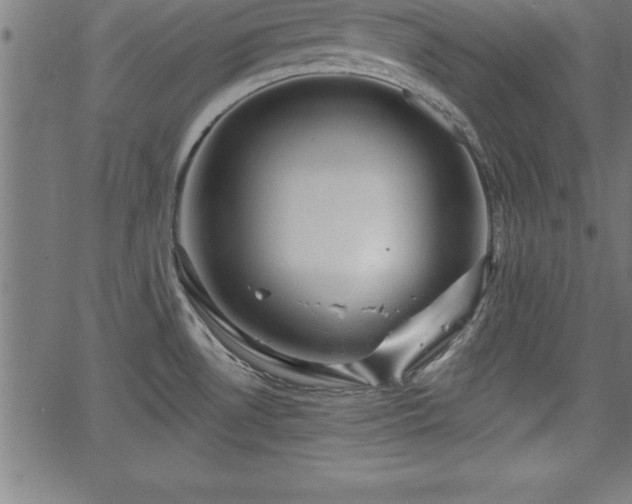 X0000065971530200603061137