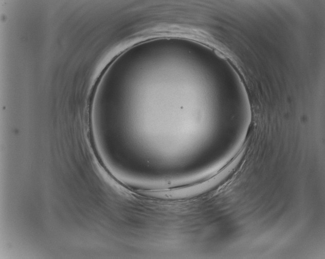 X0000065971531200603061137