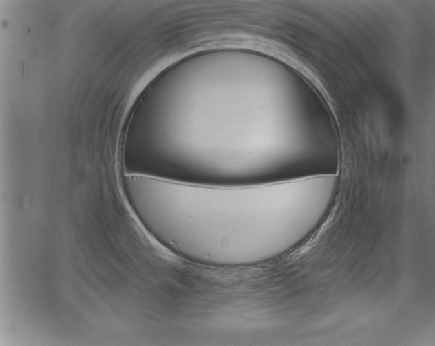 X0000065971533200603061137