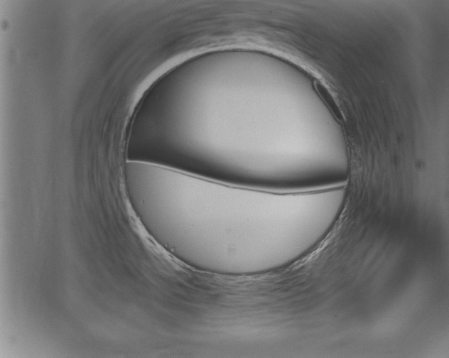 X0000065971534200603061137