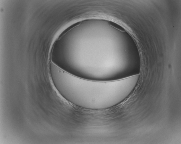 X0000065971536200603061137