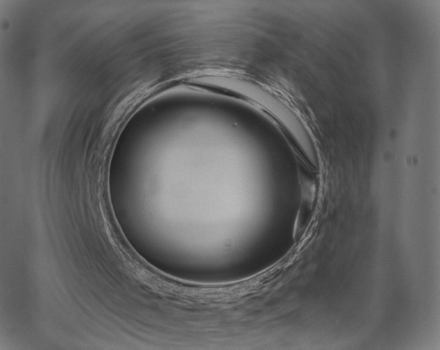 X0000065970001200603101409