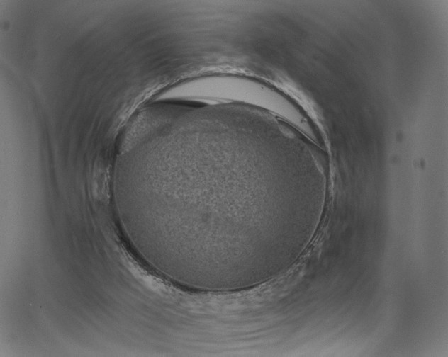 X0000065970009200603101409