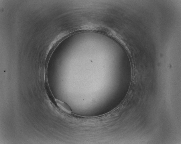 X0000065970011200603101409