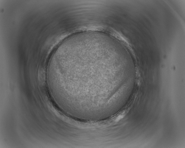 X0000065970012200603101409