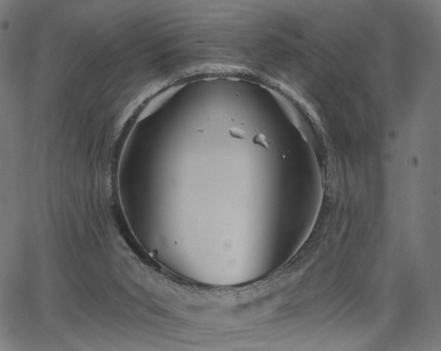 X0000065970015200603101408