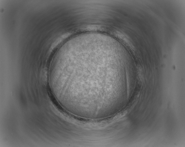 X0000065970016200603101408