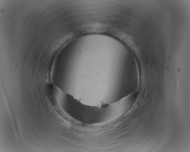 X0000065970017200603101408