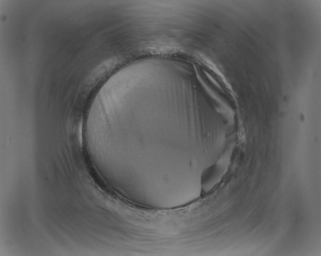 X0000065970019200603101408