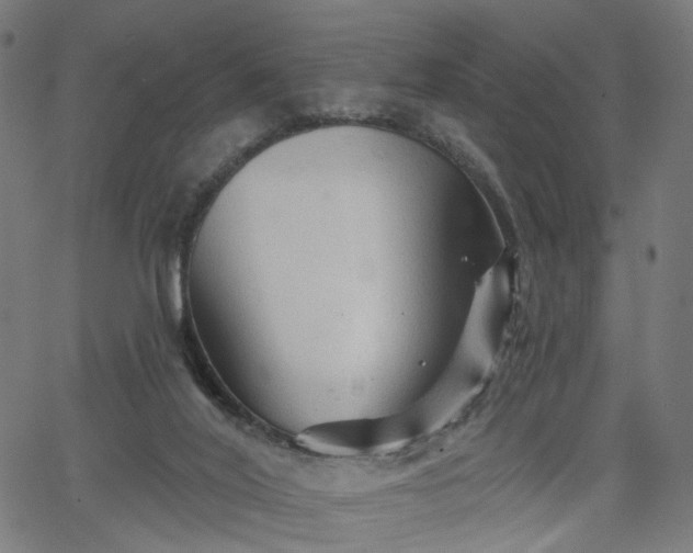 X0000065970020200603101408