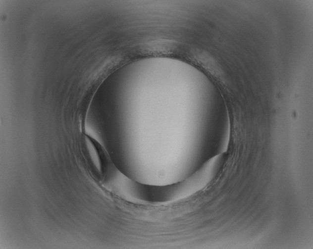 X0000065970021200603101408