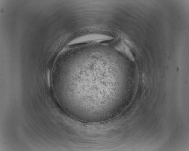 X0000065970022200603101408