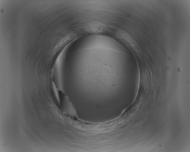 X0000065970023200603101408