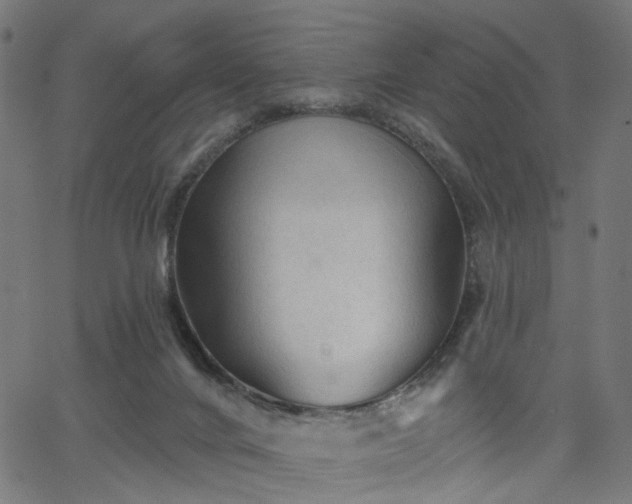 X0000065970024200603101408