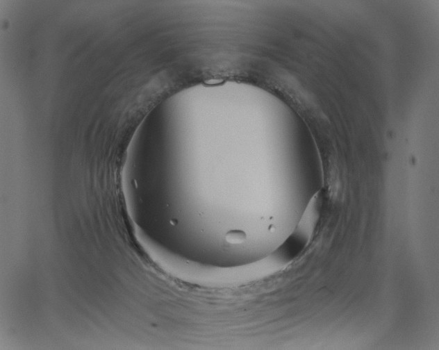 X0000065970025200603101408